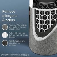 Blueair Blue Pure 411 Auto Small Room Air Purifier - Image 4