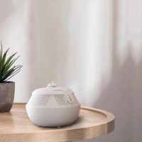COWIN Whale IPX7 Waterproof Bluetooth Fountain Speaker - Image 6