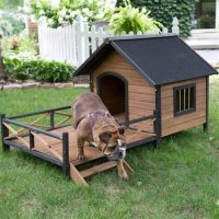 Large Solid Wood Outdoor Dog House with Spacious Deck Porch - Image 5