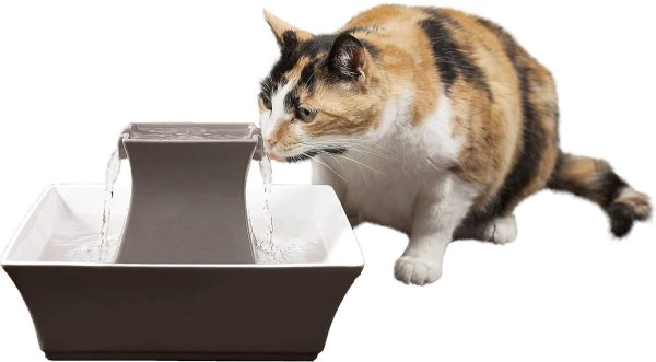Drinkwell Pagoda Ceramic Dog Cat Fountain Taupe