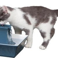 Drinkwell Pagoda Ceramic Dog Cat Fountain Himalayan Blue - Image 5