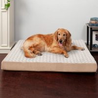 FurHaven NAP Ultra Plush Orthopedic Deluxe Cat Dog Bed wRemovable Cover, Cream - Image 5