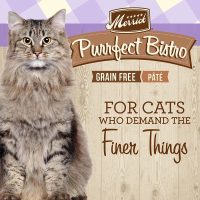 Merrick Purrfect Bistro Grain Free Canned Wet Cat Food Rabbit Pate 5.5 Ounce Pack of 24 - Image 3