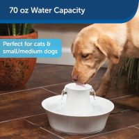 Drinkwell Avalon Ceramic Dog Cat Fountain, 70oz - Image 2