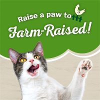 Purina Friskies Farm Favorites Chicken and Carrots Pate Wet Cat Food 5.5oz can, case of 24 - Image 4