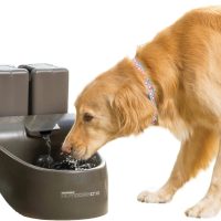 PetSafe Drinkwell Outdoor Plastic Dog Cat Fountain, 450oz - Image 5