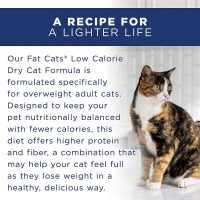 Natural Balance Fat Cats with Chicken Meal, Salmon Meal, Garbanzo Beans, Peas Oatmeal Dry Cat Food 15 Pound Pack of 1 - Image 3