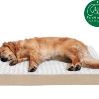 FurHaven NAP Ultra Plush Orthopedic Deluxe Cat Dog Bed wRemovable Cover, Cream - Image 4