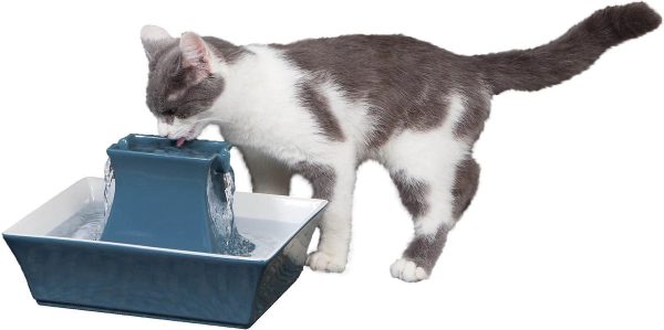 Drinkwell Pagoda Ceramic Dog Cat Fountain Himalayan Blue